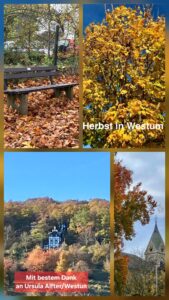 Collage Bilder Alfter